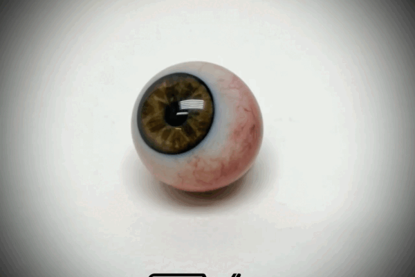 life-like color 3d printed prosthetic eye